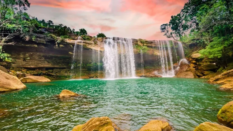 Meghalaya Tour Packages: A Complete Travel Planner